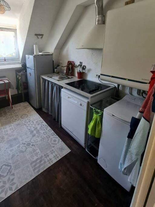 Appartement Centre Ville Terrasse Jardin Garage Chez Priscilla أوريلاك المظهر الخارجي الصورة